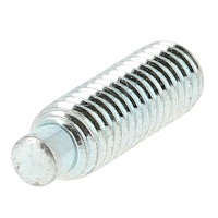 STHC Bout Têton Acier 14.9 Zingué Blanc Din 915