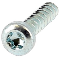 Tête Cylindrique Bombée Torx